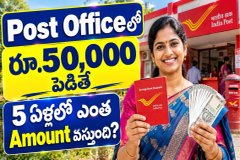 Post Office 5 Year FD: భార్య పేరు మీద రూ.50,000 పెడితే 5 సంవత్సరాలలో మీకు ఎంత వస్తుంది?