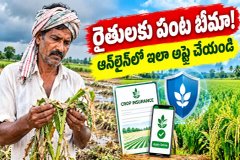 PMFBY Crop Insurance Scheme: రైతులకు పంట బీమా - ప్రీమియం ఎంత? ఆన్లైన్లో ఎలా అప్లై చేయాలి?