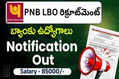 PNB LBO రిక్రూట్మెంట్ 545 లోకల్ బ్యాంక్ ఆఫీసర్ ఉద్యోగాలు | ఇప్పుడే ఆన్లైన్లో దరఖాస్తు చేసుకోండి..!
