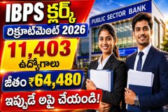 IBPS Clerk Recruitment 2026 | గ్రామీణ బ్యాంక్ లో 11,403 క్లర్క్ ఉద్యోగాలు.!