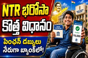 ఏపీలో దివ్యాంగ విద్యార్థులకు గుడ్ న్యూస్ - ఇక పింఛన్ నేరుగా బ్యాంక్ ఖాతాలోకి వస్తుంది.!