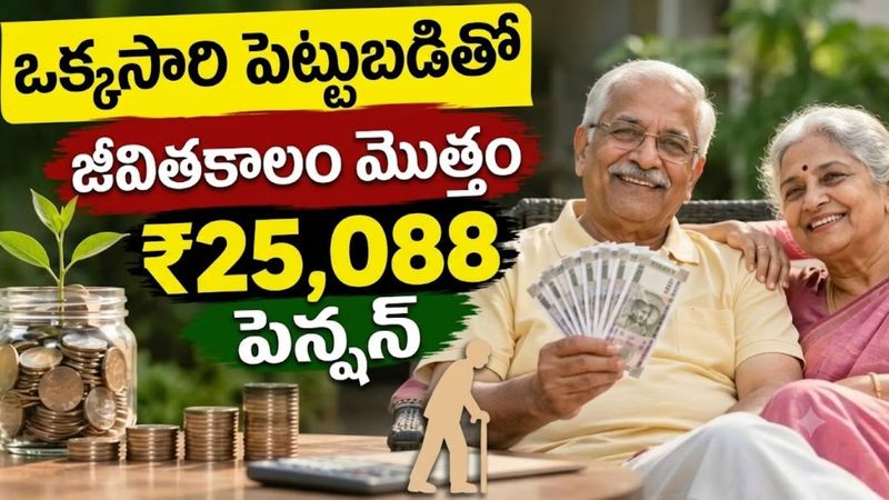 Pension Scheme: ఒక్కసారి పెట్టుబడి పెడితే జీవితాంతం నెలకు ₹25,088 పెన్షన్.. ఈ బంపర్ పథకం గురించి మీకు తెలుసా?