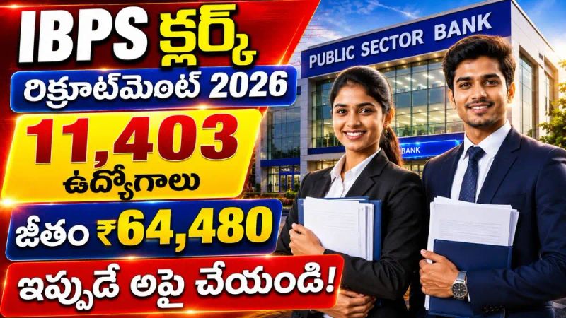 IBPS Clerk Recruitment 2026 | గ్రామీణ బ్యాంక్ లో 11,403 క్లర్క్ ఉద్యోగాలు.!