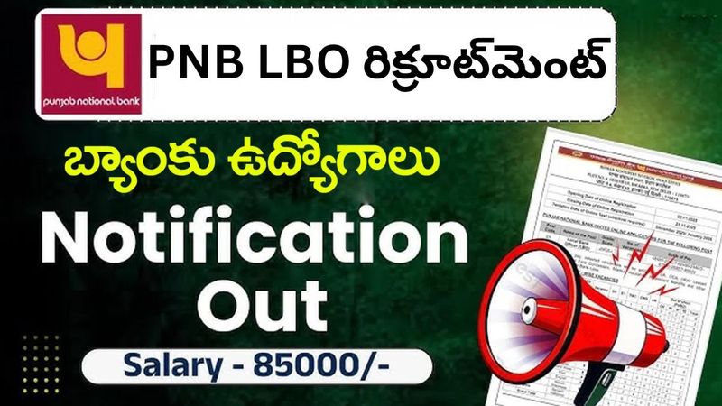 PNB LBO రిక్రూట్‌మెంట్  545 లోకల్ బ్యాంక్ ఆఫీసర్ ఉద్యోగాలు | ఇప్పుడే ఆన్‌లైన్‌లో దరఖాస్తు చేసుకోండి..!