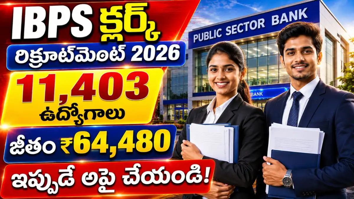 IBPS Clerk Recruitment 2026 | గ్రామీణ బ్యాంక్ లో 11,403 క్లర్క్ ఉద్యోగాలు.!